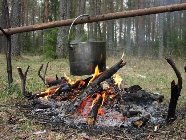 А ты уверен, что сможешь спасти семью от голода? 