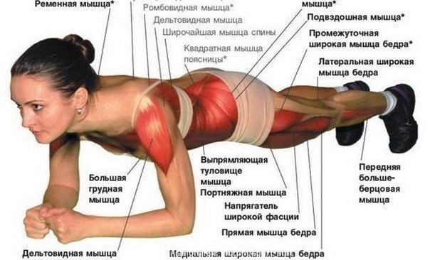 Укрепляем мышцы тела: полезное статическое упражнение 