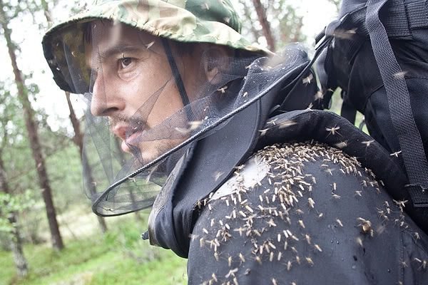 Как защищаться от укусов насекомых