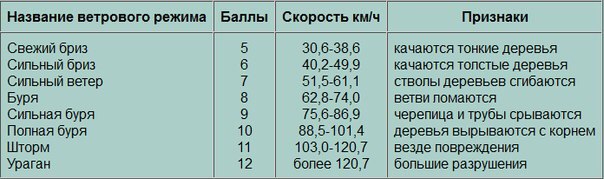 Не смейся, а запомни: Как выжить в городе