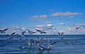 Удиви всех: как точно предсказать погоду на море
