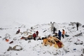 Выжившие на Эвересте рассказали о чудовищной катастрофе