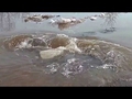 Как выплыть из воронки в реке
