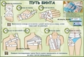 Первая медпомощь в походе