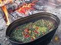 Походный чай. Хвойные рецепты